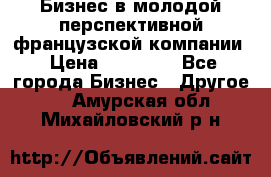 Бизнес в молодой перспективной французской компании › Цена ­ 30 000 - Все города Бизнес » Другое   . Амурская обл.,Михайловский р-н